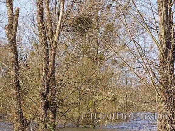 Inondation Soucelles Villevêque - 2007