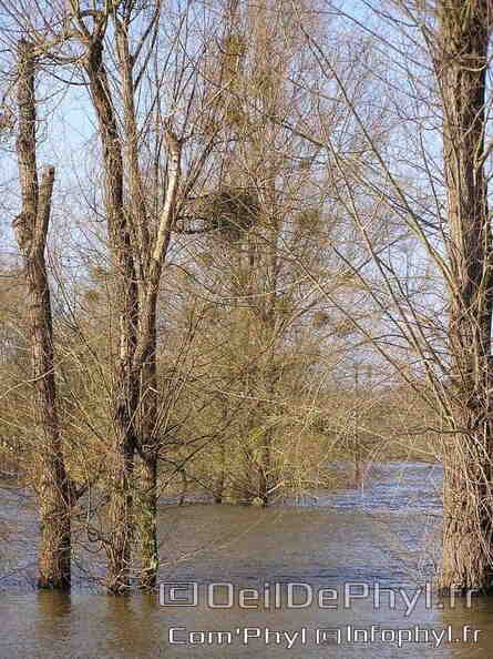 inondation-soucelles-villeveque-1.jpg