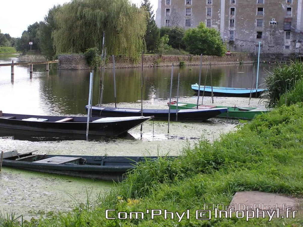 la-sarthe-cheffes-08