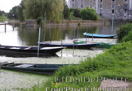 la-sarthe-cheffes-08