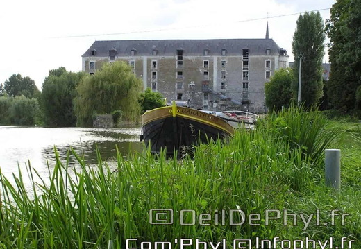 la-sarthe-cheffes-13