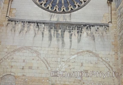 cathedrale-saint-maurice-angers-24