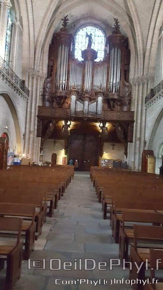 cathedrale-saint-maurice-angers-11.jpg