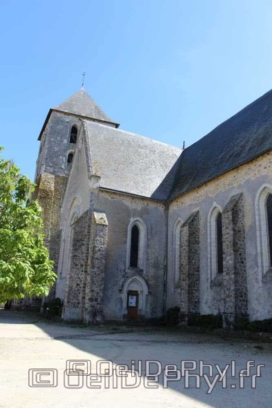 eglise-saint-medard-de-chevire-le-rouge-18-T.jpg