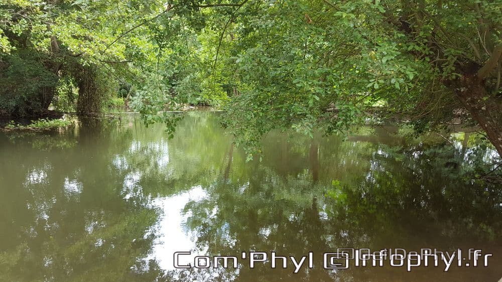 asnieres-sur-vegre-sous-bois-02