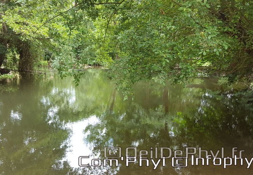 asnieres-sur-vegre-sous-bois-02