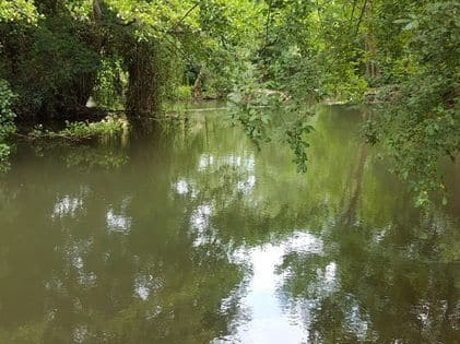 asnieres-sur-vegre-sous-bois-03