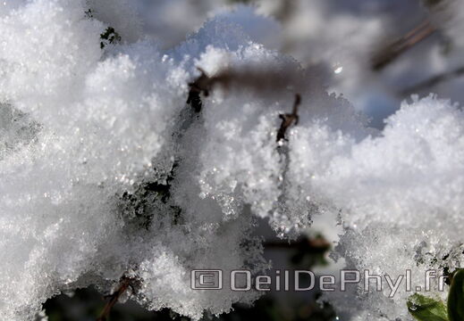 Neige de Janvier