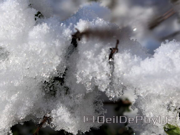 Neige de Janvier