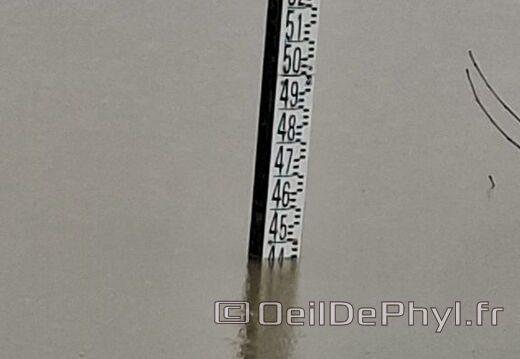 Le moulin dans l'eau - 13 février