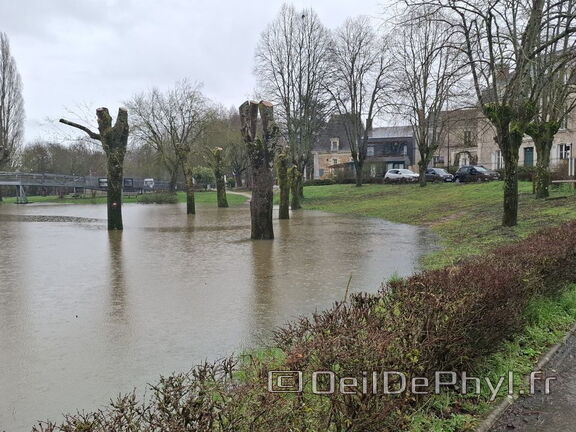 Le moulin dans l'eau - 13 février