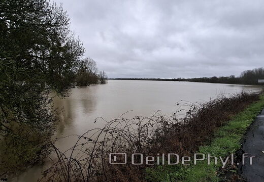 Le Loir - Rives du Loir en Anjou - Février 2026