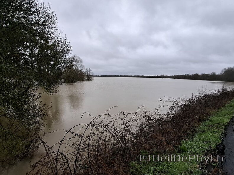 Le Loir - Rives du Loir en Anjou - Février 2026