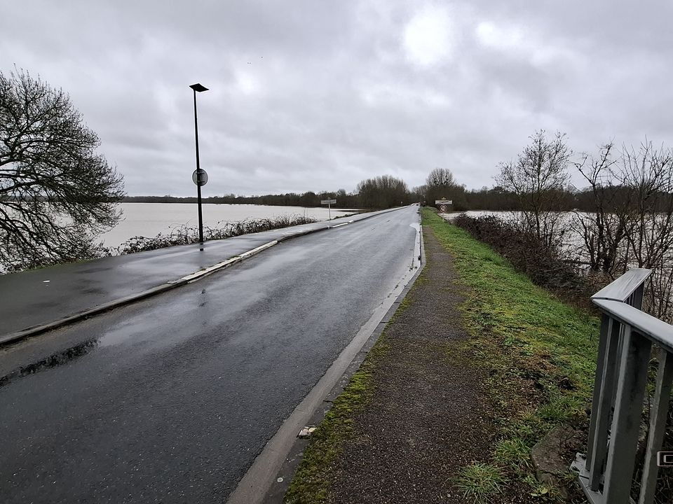 Le Loir - Rives du Loir en Anjou - Février 2026