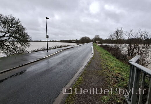 Le Loir - Rives du Loir en Anjou - Février 2026
