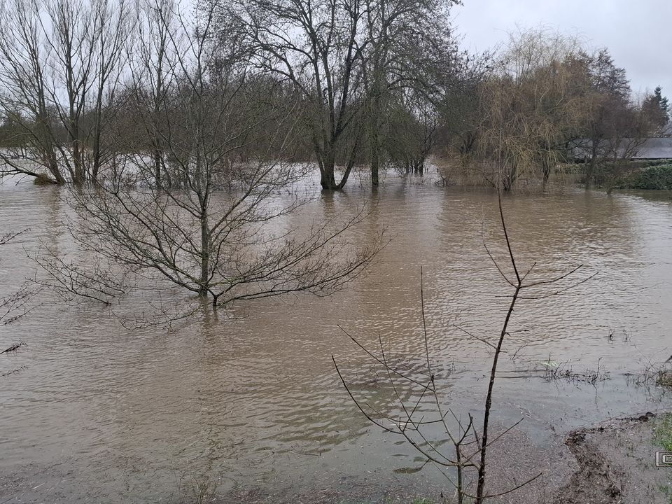Le Loir - Rives du Loir en Anjou - Février 2026