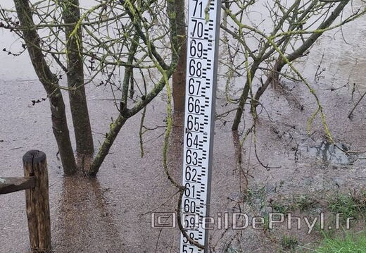 Le Loir - Rives du Loir en Anjou - Février 2026