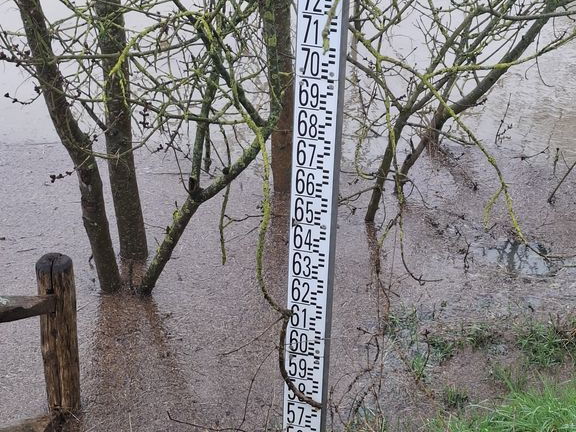 Le Loir - Rives du Loir en Anjou - Février 2026