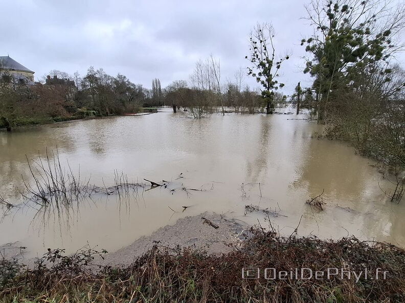 Le Loir - Rives du Loir en Anjou - Février 2026