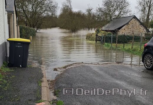 Le Loir - Rives du Loir en Anjou - Février 2026