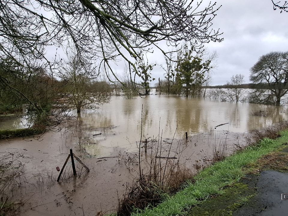 Le Loir - Rives du Loir en Anjou - Février 2026