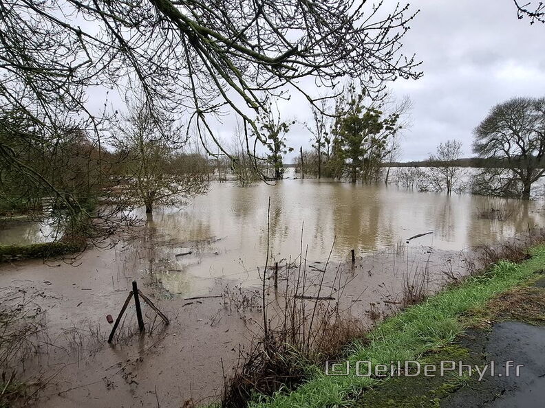 Le Loir - Rives du Loir en Anjou - Février 2026