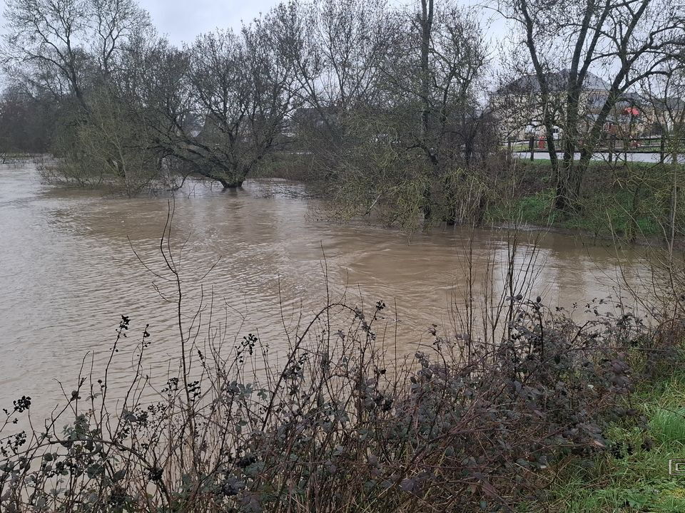 Le Loir - Rives du Loir en Anjou - Février 2026