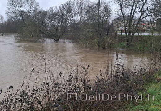 Le Loir - Rives du Loir en Anjou - Février 2026