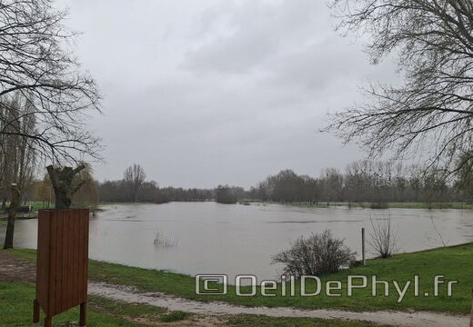 Rdl-inondation-090226-Odp-01