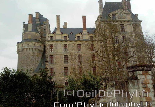 chateau-brissac-quince-4