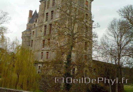 chateau-brissac-quince-1