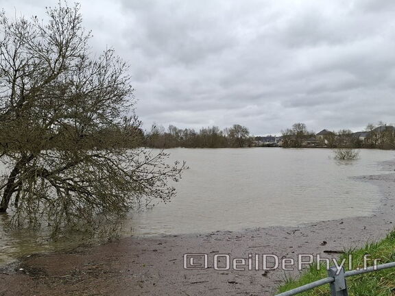 Le Loir - Rives du Loir en Anjou - Février 2026