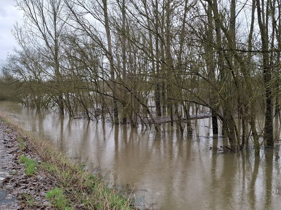 Le Loir - Rives du Loir en Anjou - Février 2026