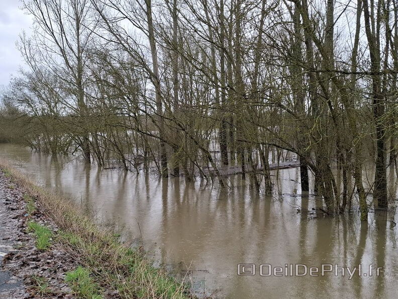 Le Loir - Rives du Loir en Anjou - Février 2026