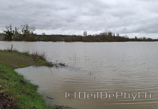 Le Loir - Rives du Loir en Anjou - Février 2026