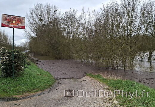 Le Loir - Rives du Loir en Anjou - Février 2026