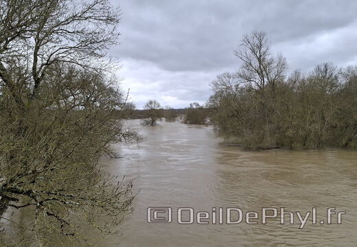 Le Loir - Rives du Loir en Anjou - Février 2026