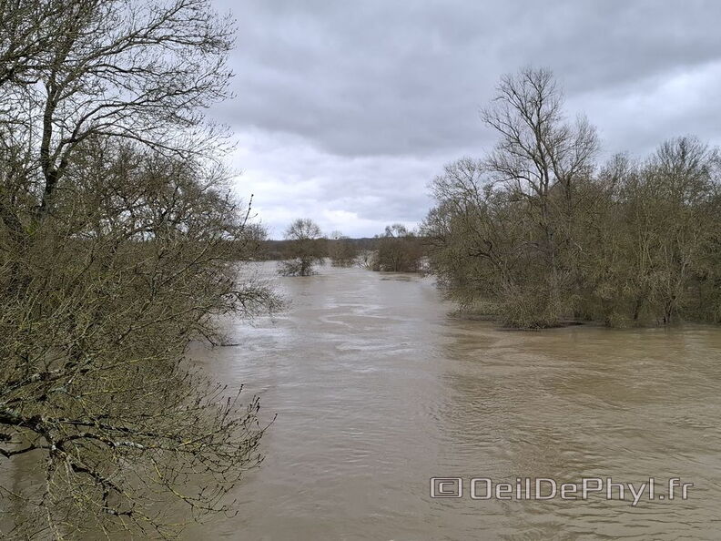 Le Loir - Rives du Loir en Anjou - Février 2026