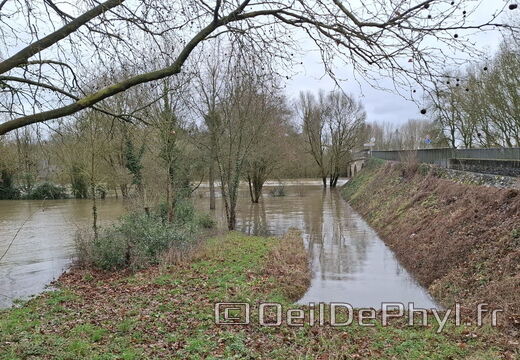 Le Loir - Rives du Loir en Anjou - Février 2026