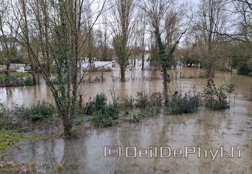 Le Loir - Rives du Loir en Anjou - Février 2026
