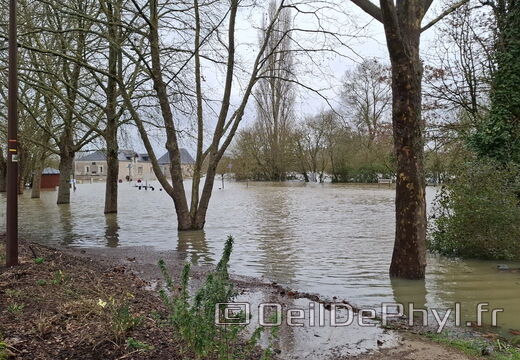 Le Loir - Rives du Loir en Anjou - Février 2026