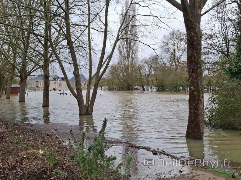 Le Loir - Rives du Loir en Anjou - Février 2026