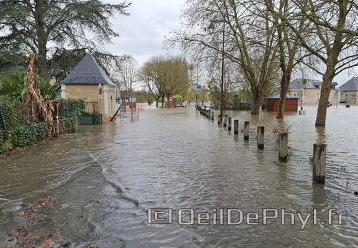 Le Loir - Rives du Loir en Anjou - Février 2026