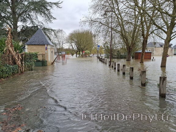 Le Loir - Rives du Loir en Anjou - Février 2026