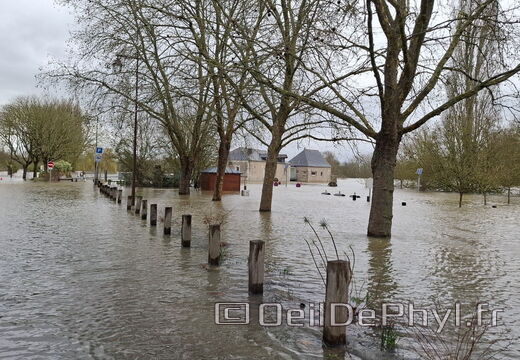 Le Loir - Rives du Loir en Anjou - Février 2026