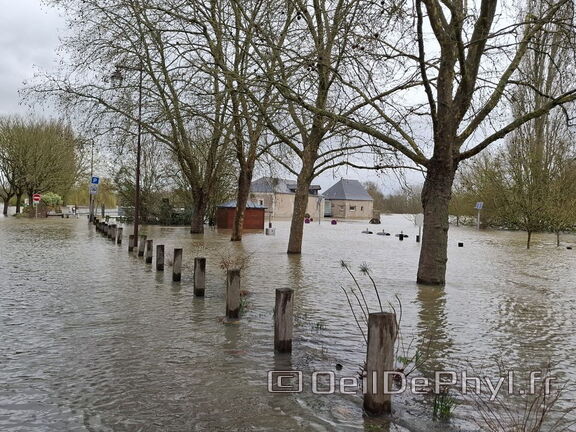 Le Loir - Rives du Loir en Anjou - Février 2026