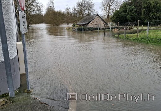 Le Loir - Rives du Loir en Anjou - Février 2026