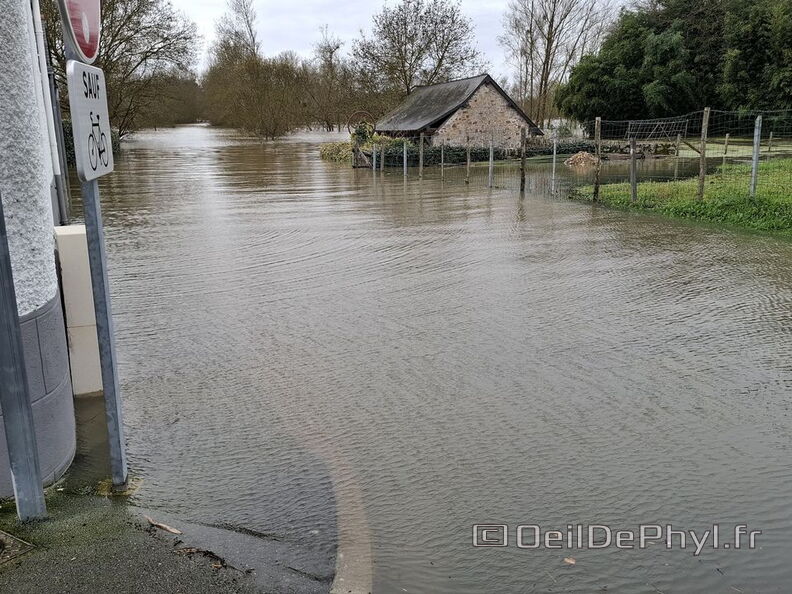 Le Loir - Rives du Loir en Anjou - Février 2026