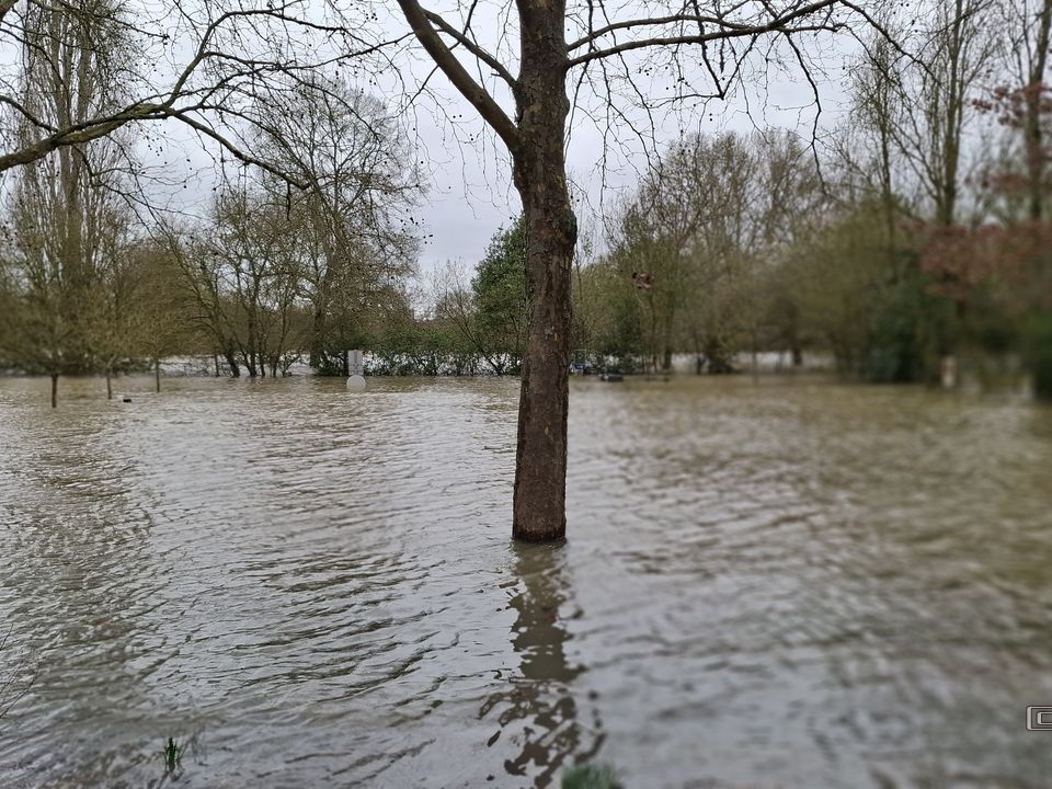 Le Loir - Rives du Loir en Anjou - Février 2026