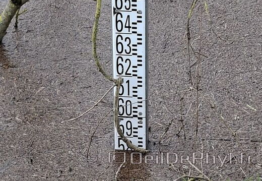 Le Loir - Rives du Loir en Anjou - Février 2026